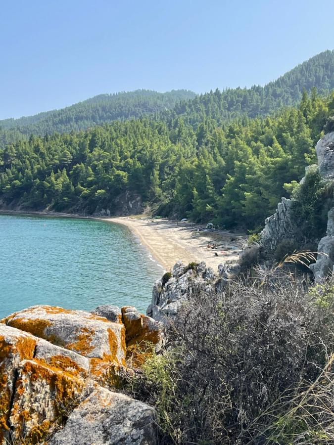Villa Elena'S House By The Sea Nikiti  Esterno foto